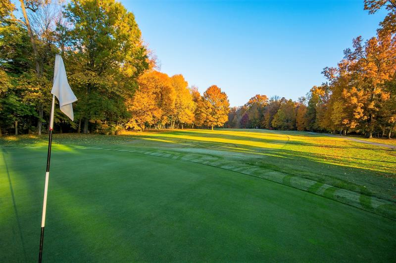 Green at the Wooded View Golf Course