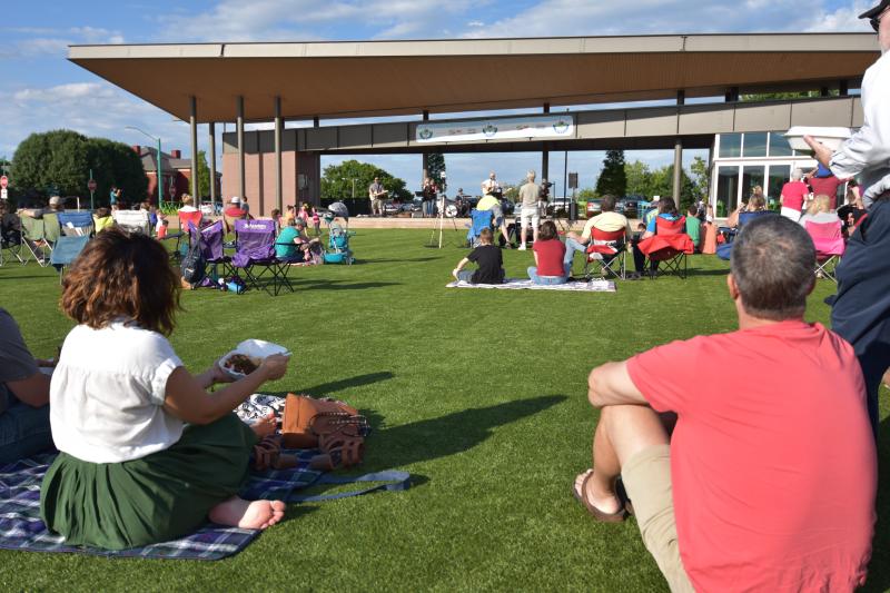 people on a lawn at a concert