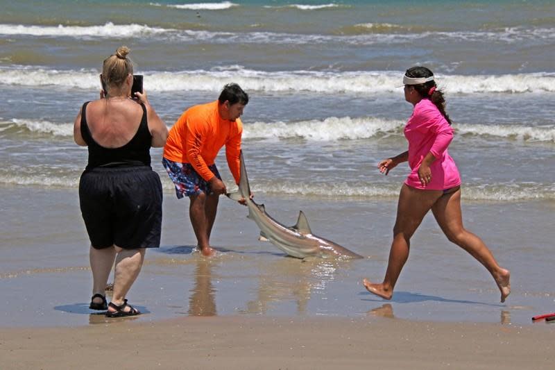 Beach Fishing Catch.jpg