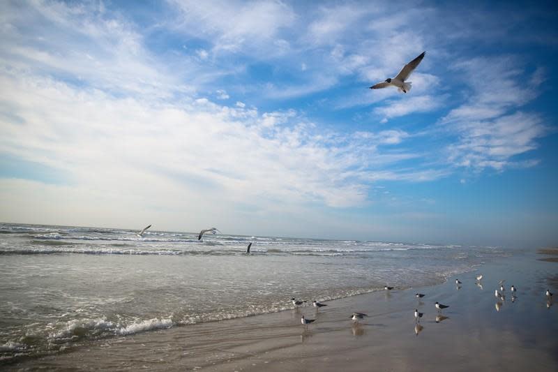 Mustang Island State Park - Beach