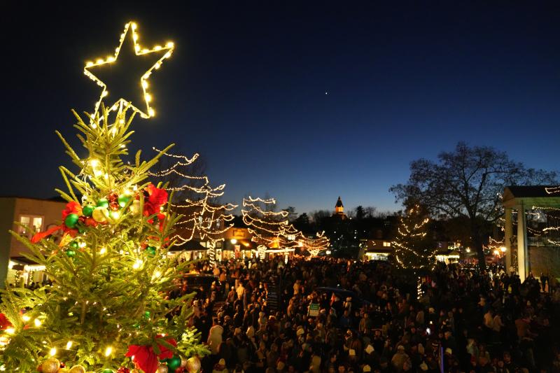 Christmas lighting 2024