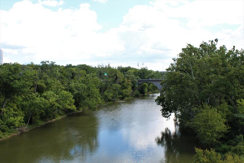 View from the Link