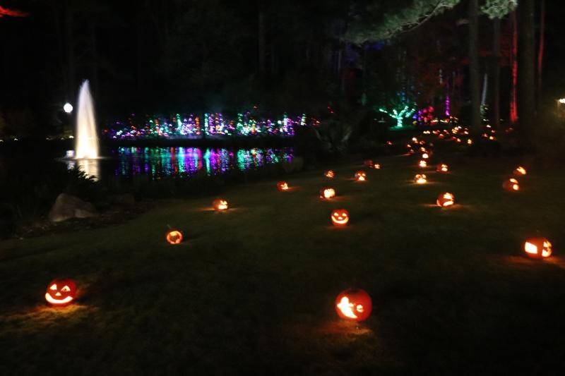 Rows of glowing jack-o’-lanterns line a grassy path at the Boo-tanical Garden in Fayetteville, with a lit fountain and colorful lights reflecting across the water at night.