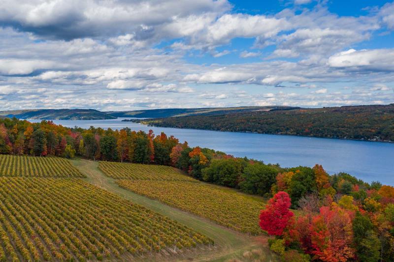 Keuka Lake Fall Landscape