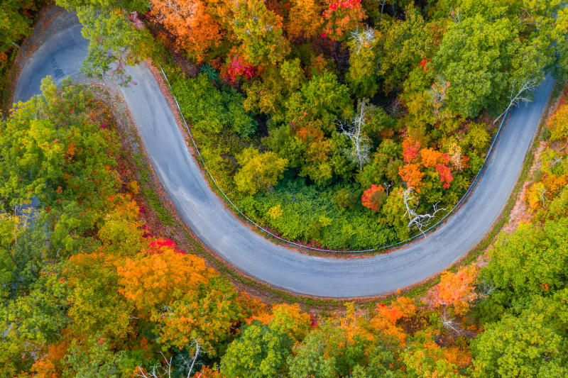 Scenic Drive Through Finger Lakes Wine Country