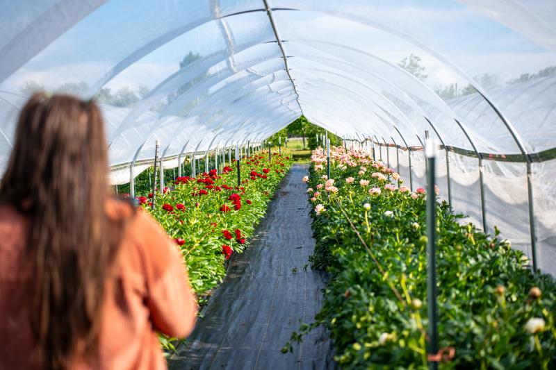 Garden Sweet