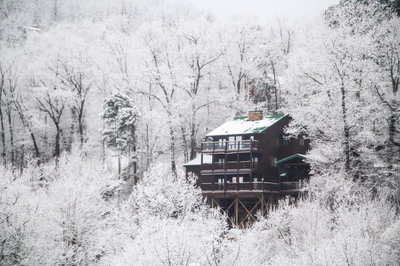Cabin Winter