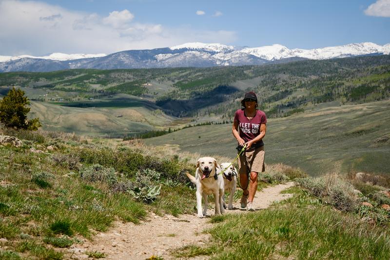 Wag Away 1 Granby, Colorado