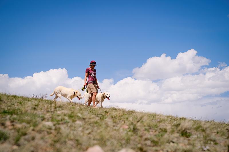 Wag Away 2 Granby, Colorado