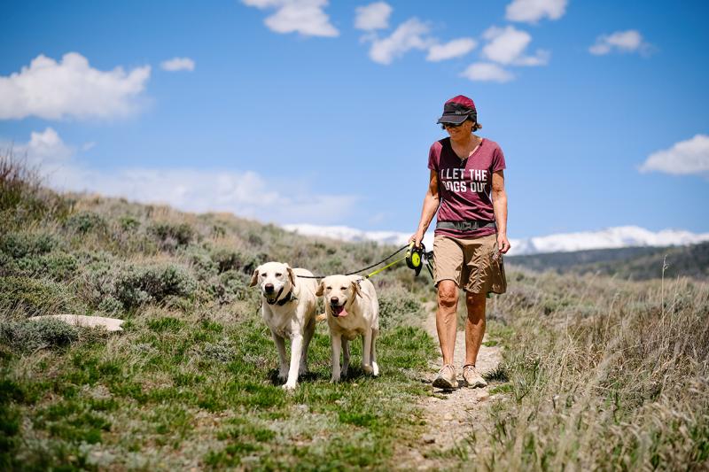 Wag Away 3 Granby, Colorado