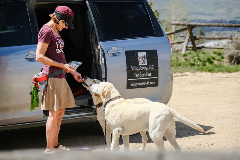 Wag Away 7 Granby, Colorado