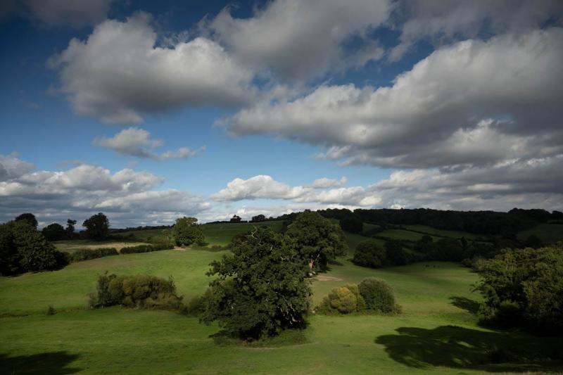 The Shimmings Valley in Petworth