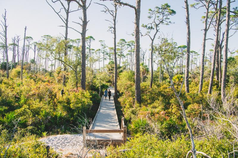 two people hiking at T.H. Stone Memorial St. Joseph Peninsula State Park trail