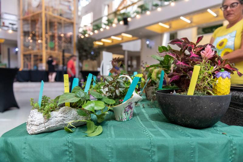 Plants + Pints 4