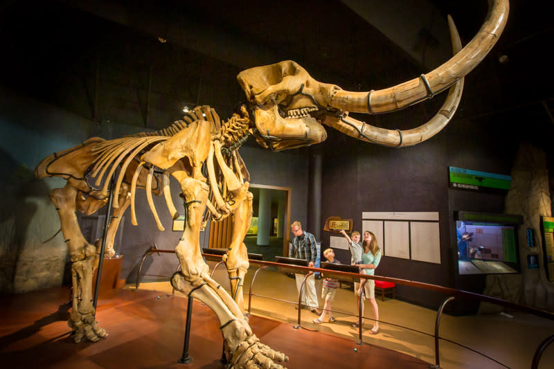 State Museum Mastodon