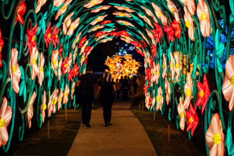 Houston Botanic Garden