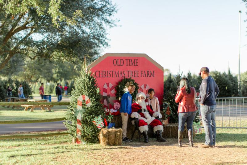 Old Time Christmas Tree Farm