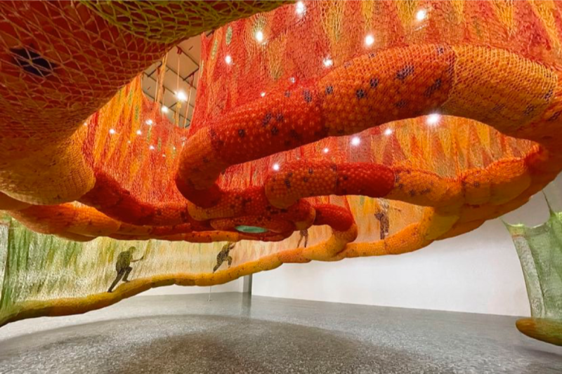 MFAH - Ernesto Neto: SunForceOceanLife