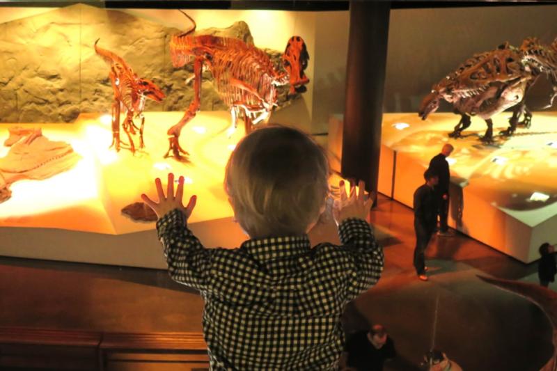 HMNS