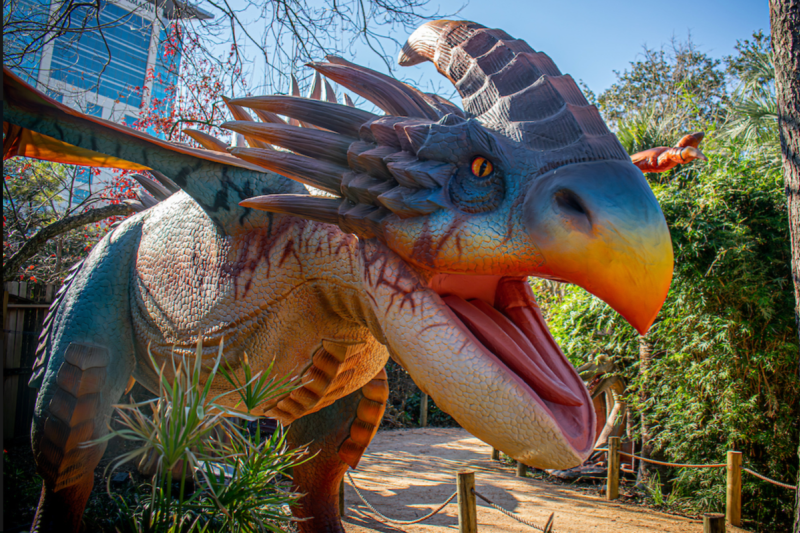 Houston Zoo