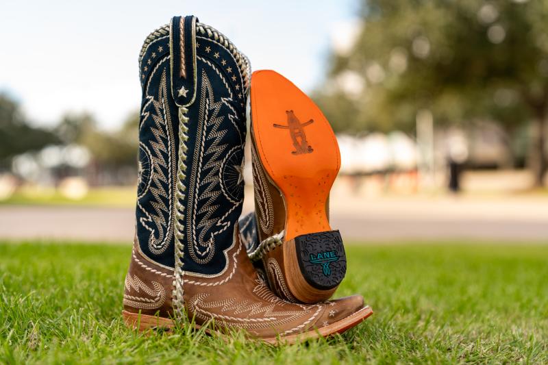 Houston Livestock Show and Rodeo