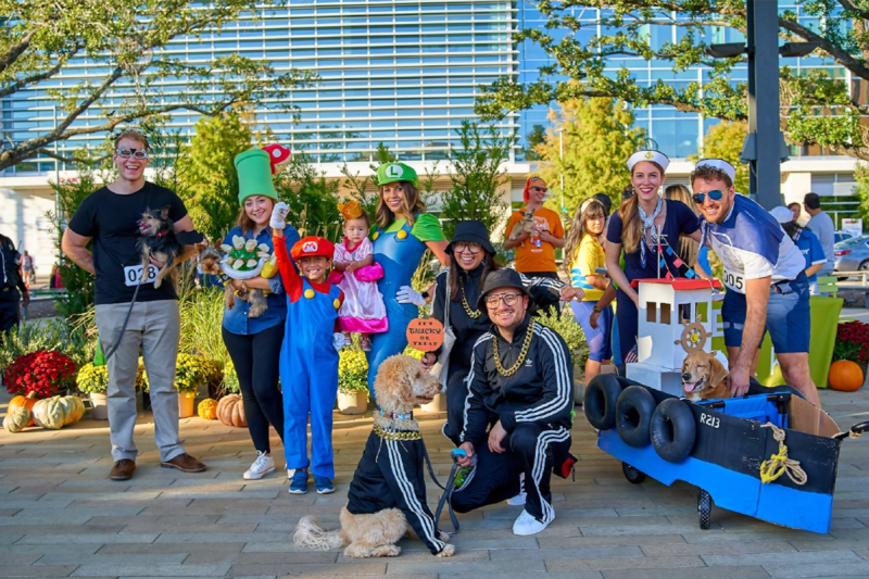 Levy Park - Halloween
