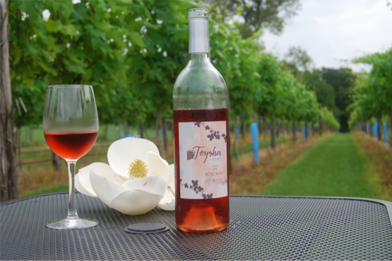 Teysha Vineyard