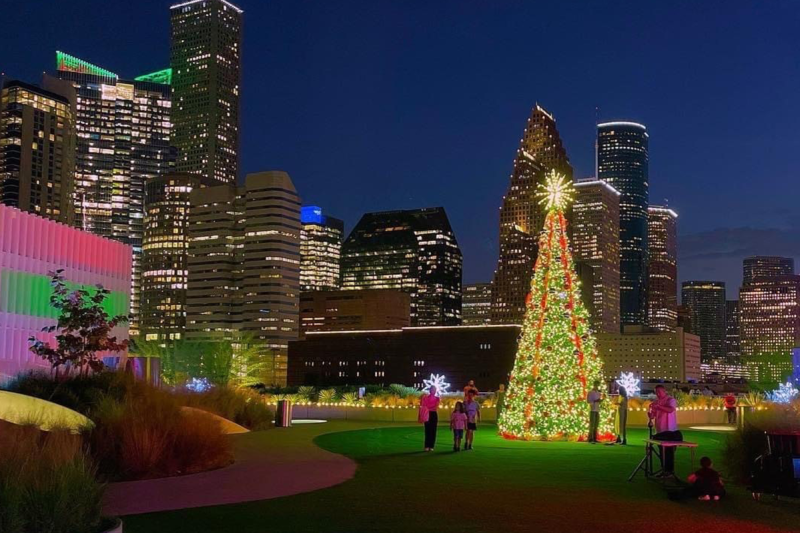 Winter Wonderlawn