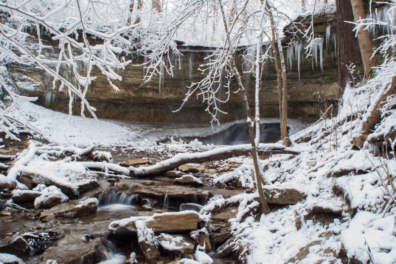 Holidays in Bloomington