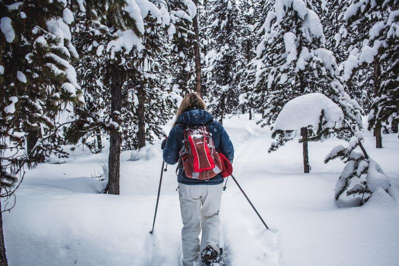 Snowshoeing