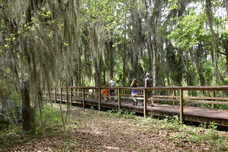 Wetland Trace