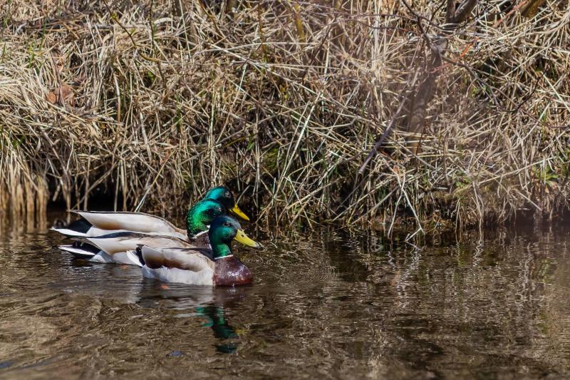 2026 Spring Photo Contest Winner