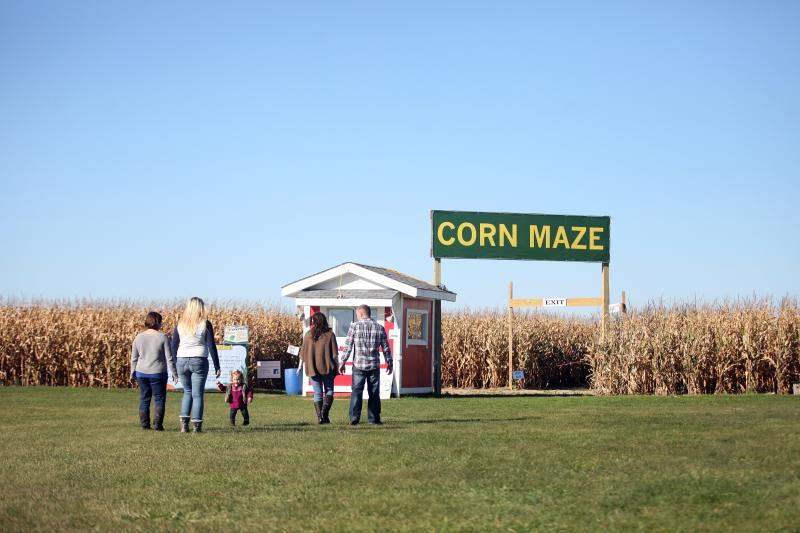 Family entering a corn maze at Pearce's Farm Stand