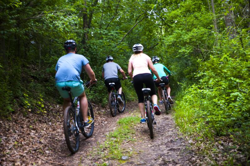 Group riding bikes through the forest