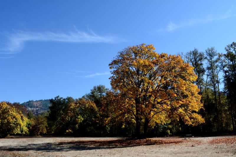Lynx Hollow Park in the fall by Colin Morton Lynx Hollow Park in the fall by Colin Morton