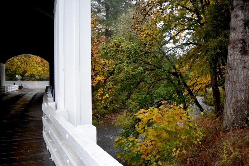 Earnest Covered Bridge in the rain by Sally McAleer Earnest Covered Bridge in the rain by Sally McAleer