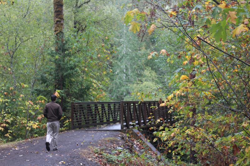 Greenwaters Park in Fall by Natalie Inouye Greenwaters Park in Fall by Natalie Inouye