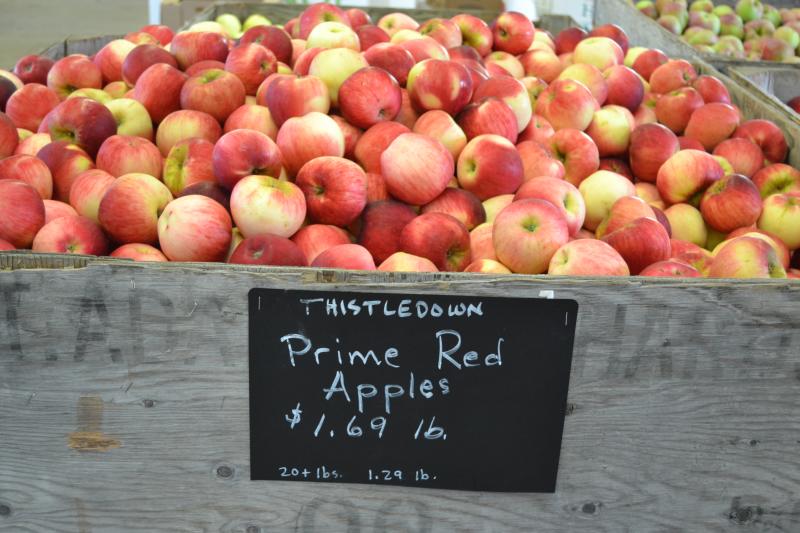 Apples at Thistledown Farm by Sally McAleer Apples at Thistledown Farm by Sally McAleer