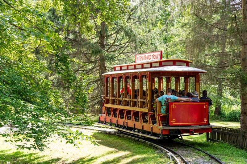 Idlewild Park | Daniel Tiger's Neighborhood
