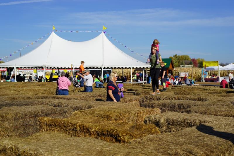 Straw bale maze