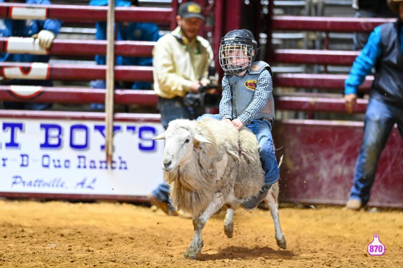 Mutton Bustin