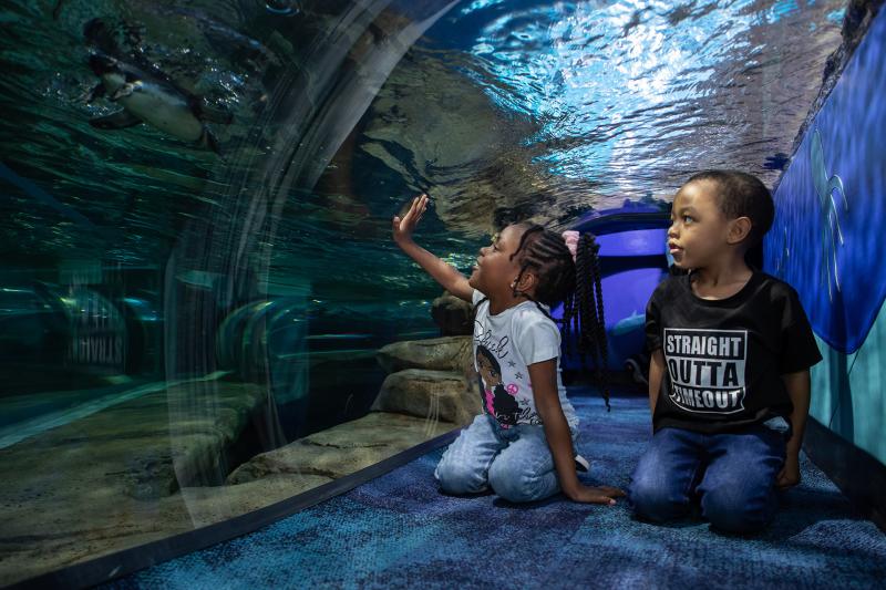 Two young children inside the Ripley's Aquarium Tiny Tot Tunnel