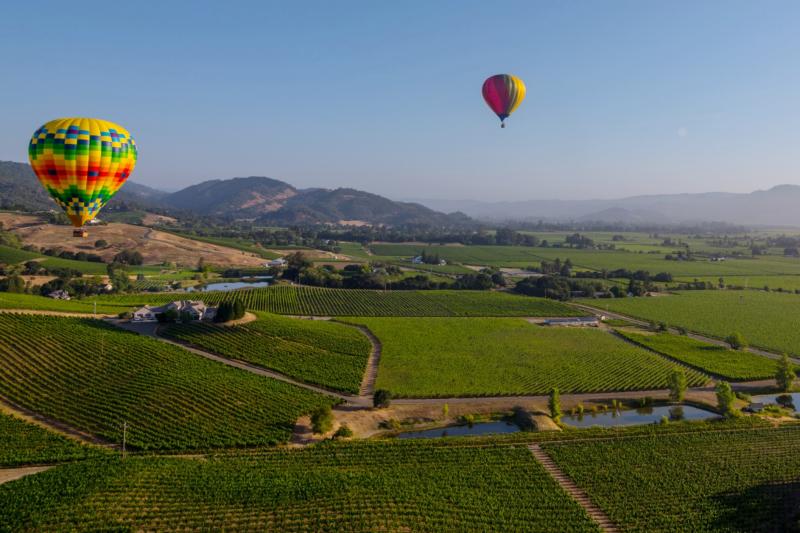 Hot air balloons float over Napa Valley
