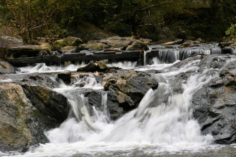 Matrimony Creek Trail