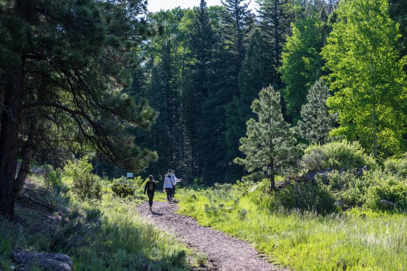 Angel Fire Summer Hike