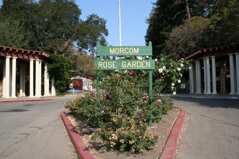 Morcom Rose Garden