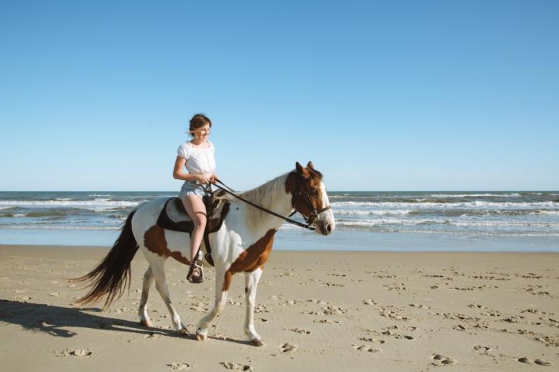 Horseback Riding OBX