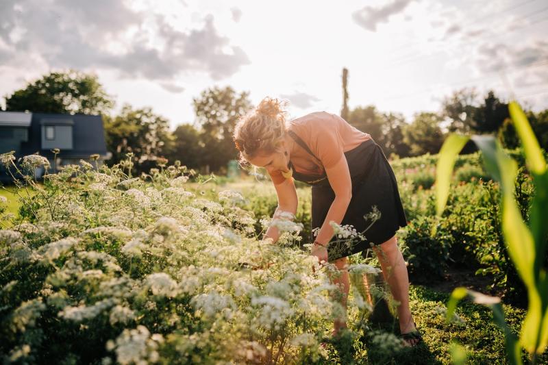 Makkink Sunflower Farm Woman Flowers