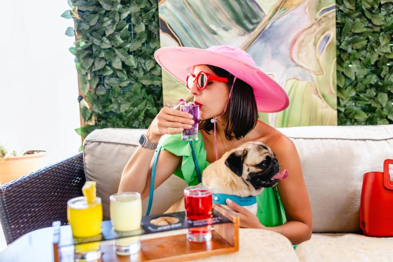 Dog-friendly dining at Brunch 101 in downtown Cathedral City
