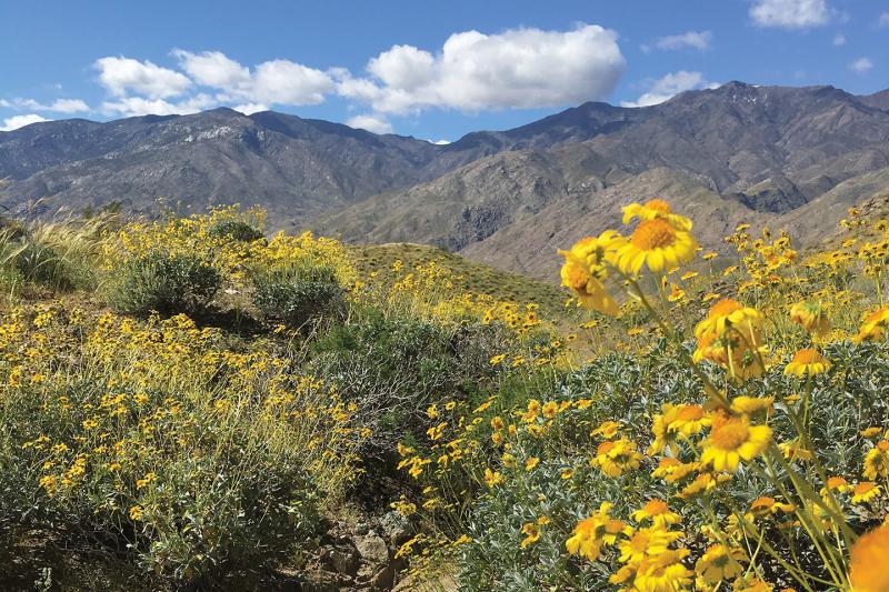Wildhorse trail in Palm Springs